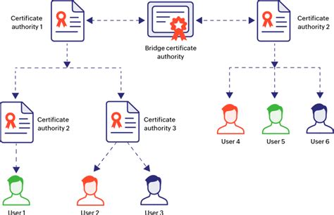 Usage of Vimexx broken down by SSL certificate authorities